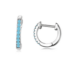 CRYSTAL HOOP EARRINGS