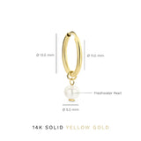Delia Crest Earrings | Gold 14k
