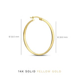 Noa Serane Earrings | Gold 14k